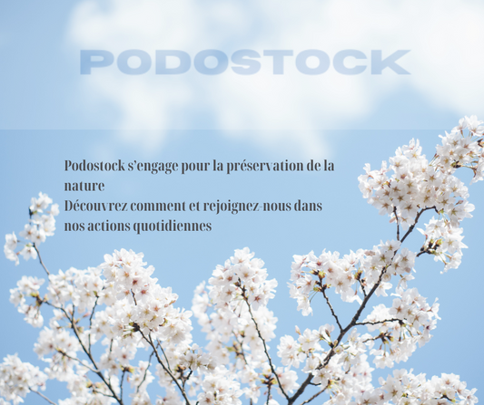 Podostock : Acteur Engagé de l'Économie Circulaire