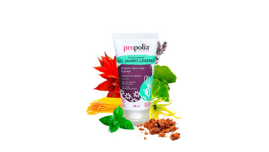 Gel jambes légères certifié Bio - Miel, Propolis, gingko et vigne rouge - Lot de 2