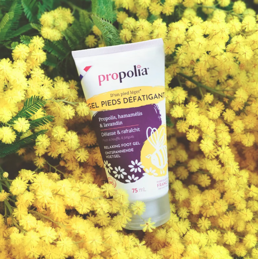 Gel pieds défatigant certifié Bio Propolis, hamamélis & lavandin
